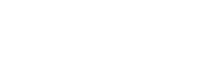 Rmd Business Pro